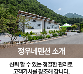정우네펜션