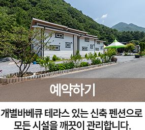 정우네펜션